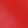 Palms Cara, Red, swatch